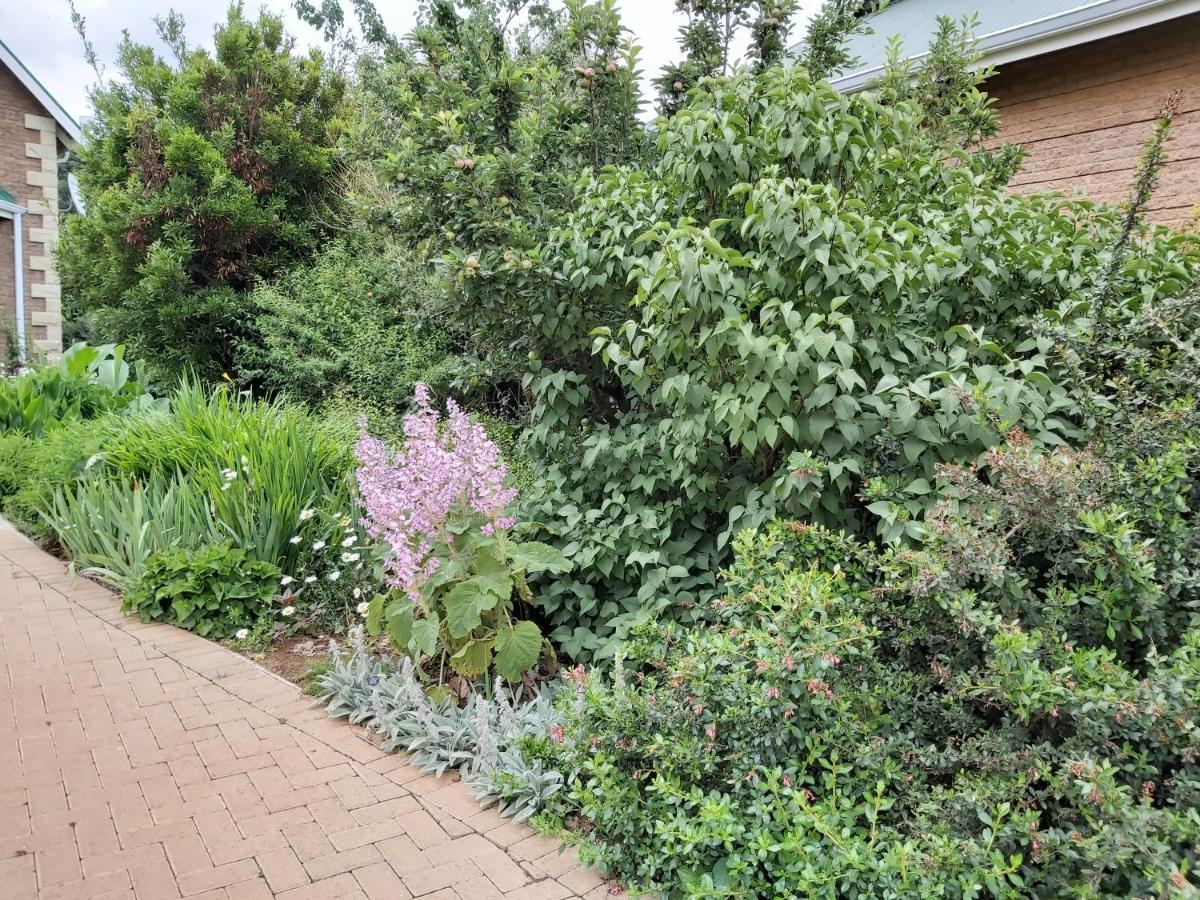 Clarens Mountain Sage Holiday House Buitenkant foto